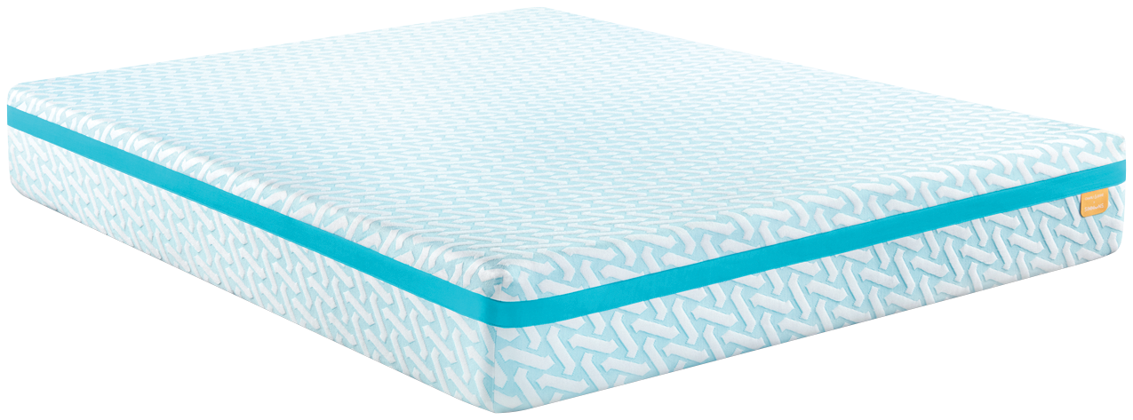 Charli and dixie mattress new arrivals