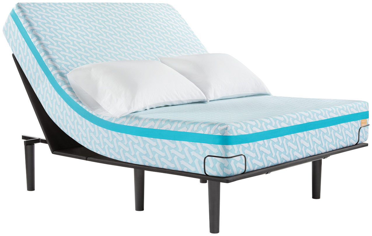 Albuquerque America s Mattress Simmons Charli Dixie 3